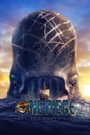 ONE PIECE: Season 2