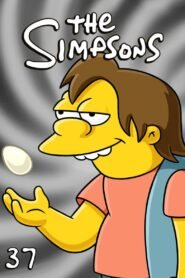 The Simpsons: Season 37